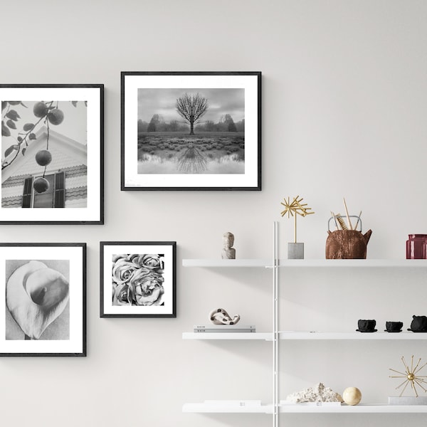 Black and White Photos Collection Set of 4  Fine Art Prints - Poster Paper Print / Gift Idea / Wall Decor