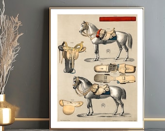 Antique Horseback Riding Equipment Print: Vintage Horse Catalog Wall Decor