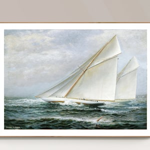 Pilgrim, Pilgrim Yacht, Americas Cup Races Drawing by Litz Collection -  Fine Art America