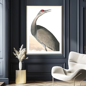 Sandhill Crane by John James Audubon Fine Art Print, Vintage Bird Poster, Nature Wall Décor, Animal Wall Art, Decorative Print