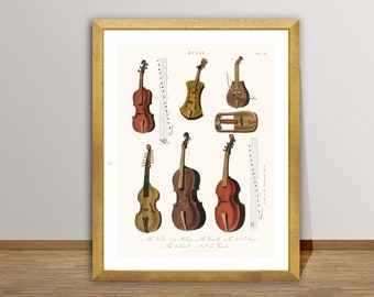 A Collection of Antique Violin, Viola, Cello and more from Encyclopedia Londinensis Fine Art Print -  Poster  or Canvas Print / Gift Idea