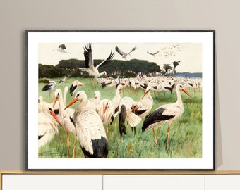 White Storks Fine Art Print by Wilhelm Kuhnert - Safari Wildlife Art