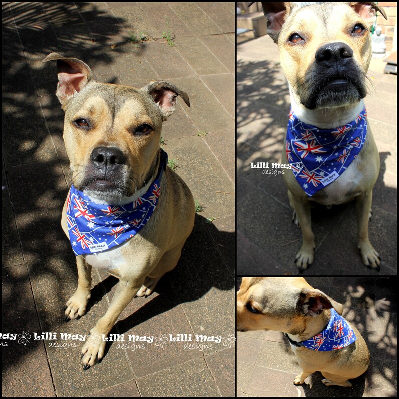 Australia Day Bandana for Dogs // Australia Themed Dog Bandana Etsy