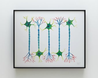 Neurona 5, arte científico, lámina de acuarela, neurología, neurociencia, biología