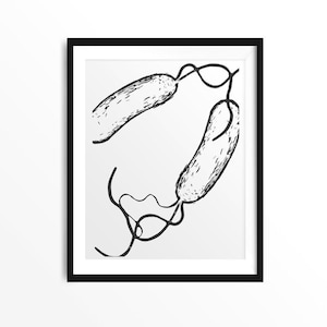 Bacillus 8, science print, biology print, science, science art, art print, science gift, microbiology, bacteria, bacteria print, biology art