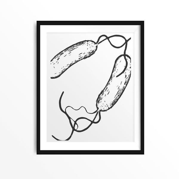 Bacillus 8, science print, biology print, science, science art, art print, science gift, microbiology, bacteria, bacteria print, biology art