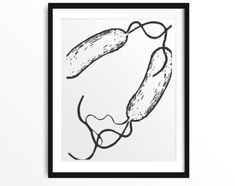 Bacillus 8, science print, biology print, science, science art, art print, science gift, microbiology, bacteria, bacteria print, biology art