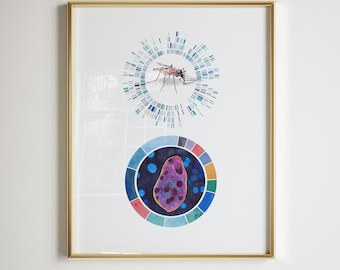 May include: A framed print with a watercolor illustration of a mosquito and a cell. The mosquito is surrounded by a circular pattern of blue, green, and white bars. The cell is surrounded by a circular pattern of colored segments.