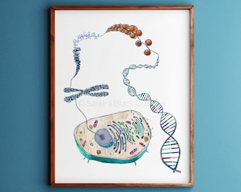 Cell to Helix, Science, Science Art, Biology, DNA, Genetics, dna art, biology art, art print, watercolor print, watercolor art, art print