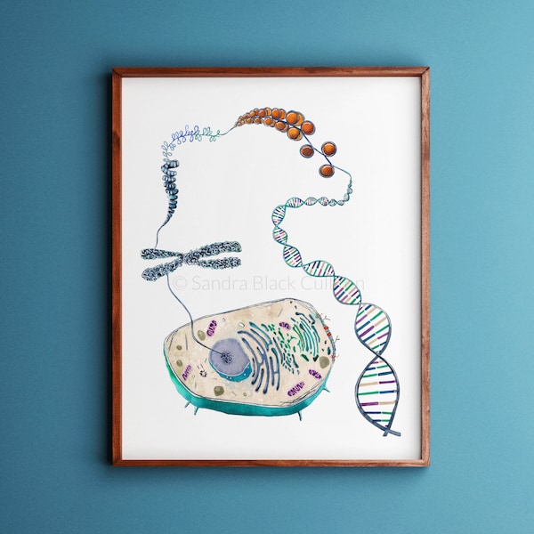 Cell to Helix, Science, Science Art, Biologie, DNA, Genetik, DNA Kunst, Biologie Kunst, Kunstdruck, Aquarelldruck, Aquarellkunst, Kunstdruck