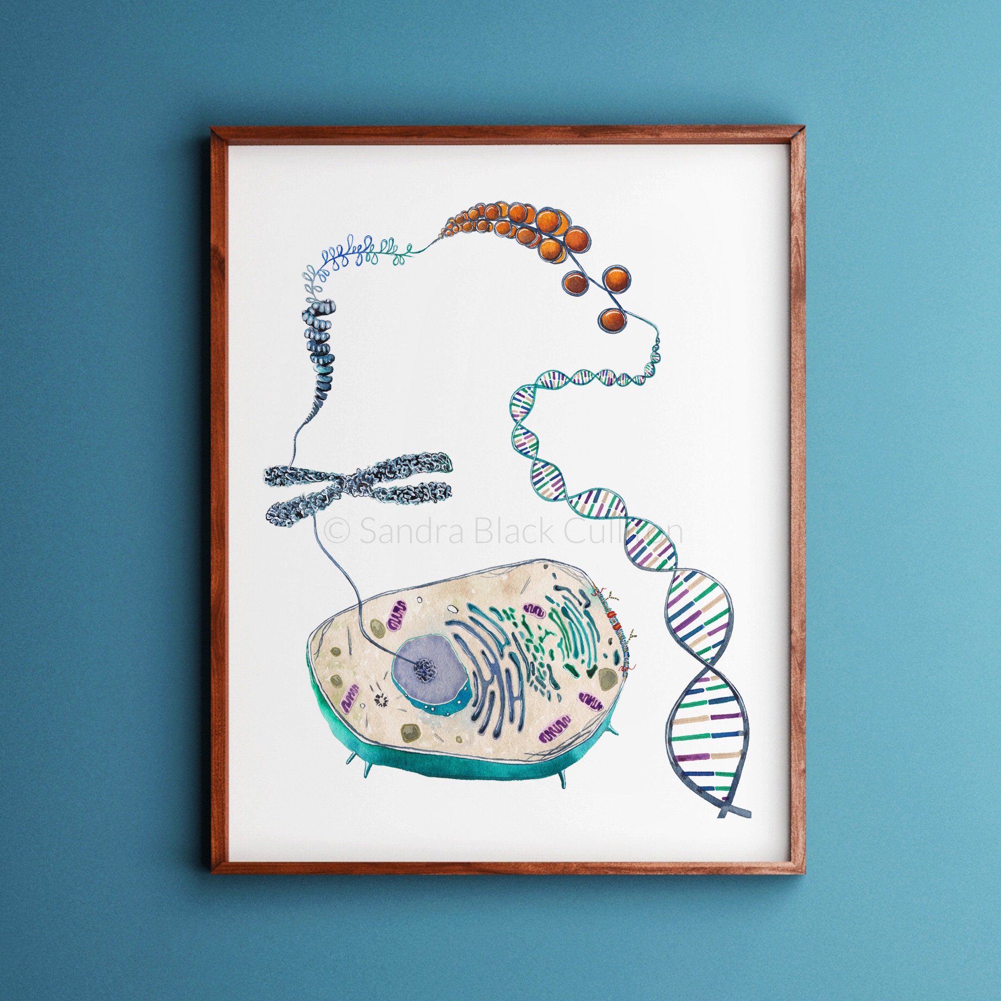 Cell to Helix Science Science Art Biology DNA Genetics - Etsy Ireland