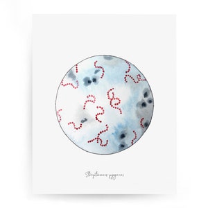 Streptococcus 2, science, bacteria, science art, science print, biology art, bacteria art, bacterium, microbiology art, biology print