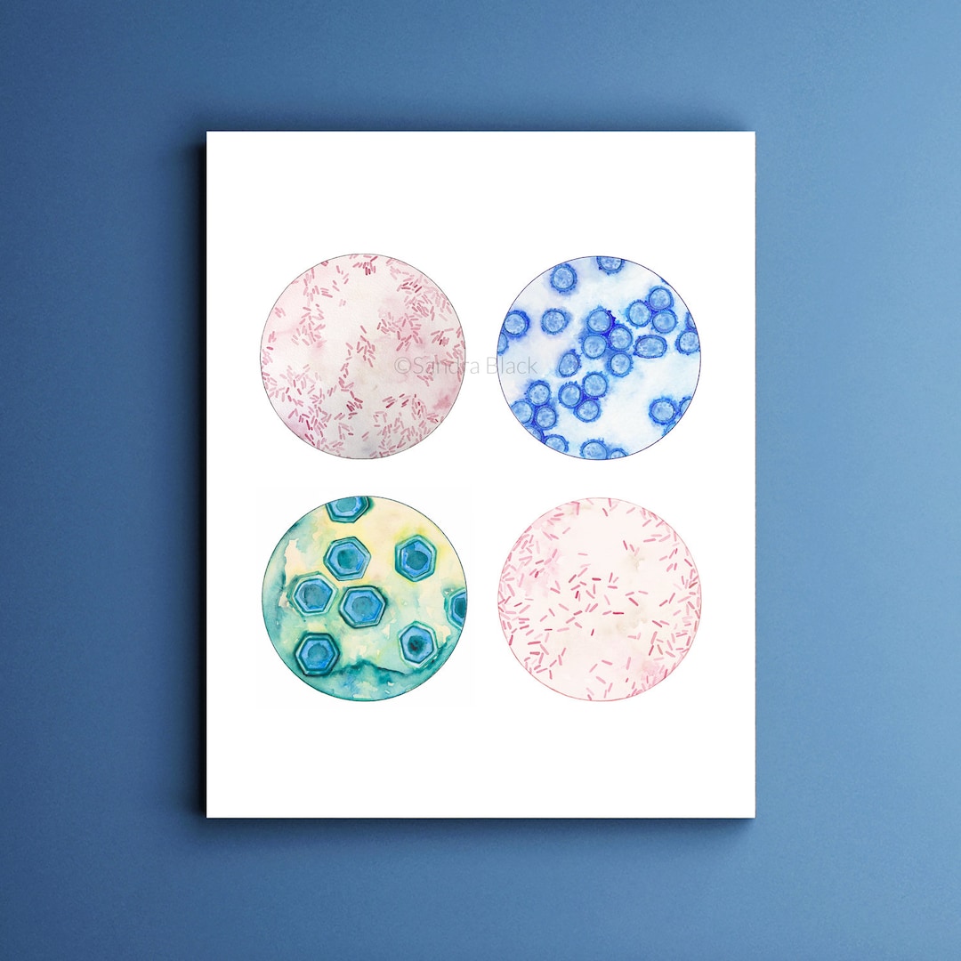 Farm Microbes, Microbiology, Science Art, Science, Science Gift ...