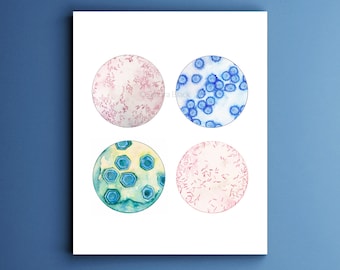 Farm Microbes: Microbiology Science Decor Art Print