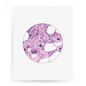Médula ósea 2, Histología, Impresión científica, Arte biológico, Ciencia, Laboratorio, Regalo científico, Ilustración médica, Cáncer, Microscopio, Impresión artística
