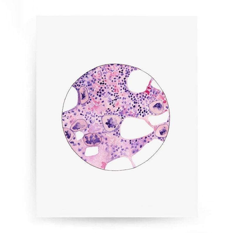 K&ouml;nnte beinhalten: Ein Aquarellbild einer mikroskopischen Ansicht einer Zelle, das einen rosa und violetten Hintergrund mit dunkelvioletten Punkten und gr&ouml;&szlig;eren violetten Formen zeigt.