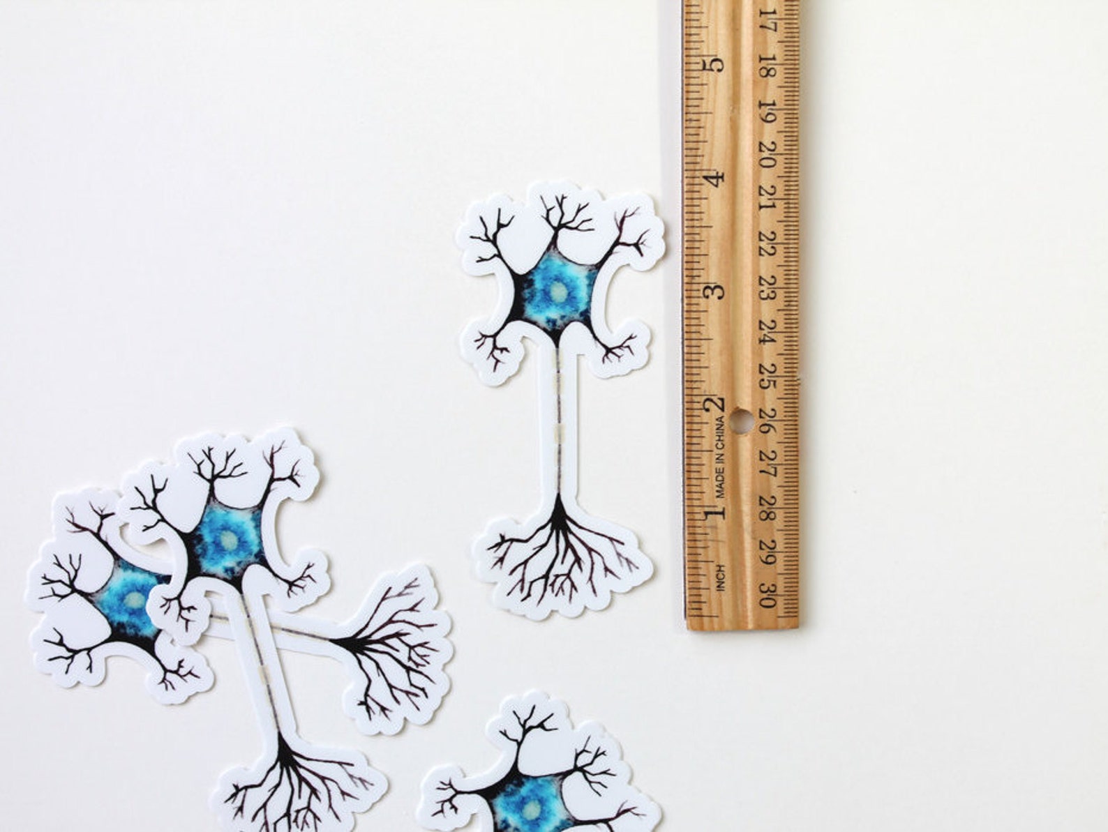Edible Neuron Sticker Neuron Sticker Vinyl Sticker Stickers Laptop Stickers - Etsy