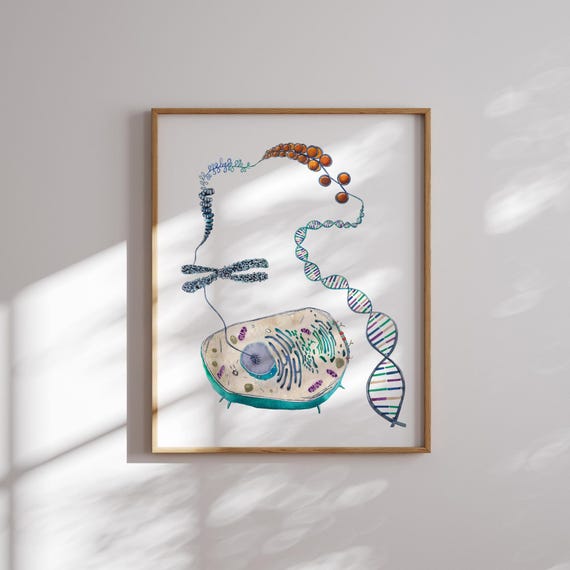Biology Art