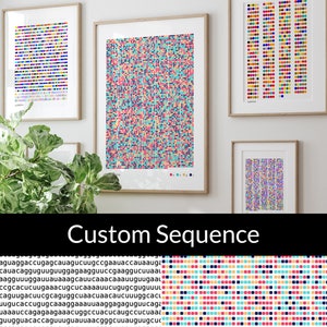 Custom sequence, amino acid, protein, nucleic acid, RNA, genetics, biology, science, science art, science gift