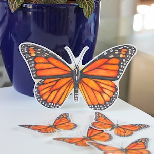 Butterfly Sticker, Monarch sticker, monarch, butterfly, vinyl stickers, laptop sticker, bumper sticker, sticker pack, waterproof sticker