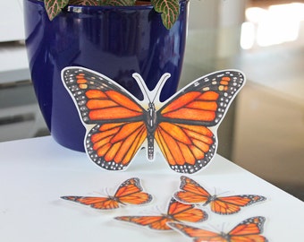 Butterfly Sticker, Monarch sticker, monarch, butterfly, vinyl stickers, laptop sticker, bumper sticker, sticker pack, waterproof sticker