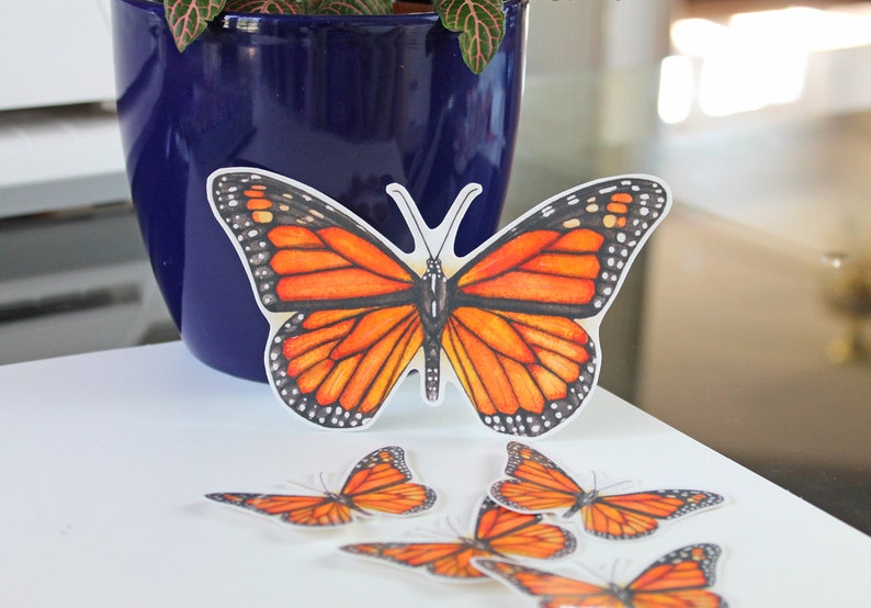 Butterfly Sticker, Monarch sticker, monarch, butterfly, vinyl stickers, laptop sticker, bumper sticker, sticker pack, waterproof sticker image 1