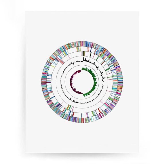 量子ゲノム アクリル画 原画 量子ゲノム アクリル画 原画 【公式通販】