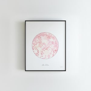 Vibrio cholerae, print, infectious disease, Bacteria, Bacteria art, microbiology, science, science art, biology, microbes, medical art
