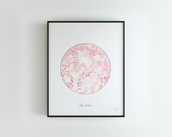 Vibrio cholerae: Microbiology Medical Disease Science Art Print