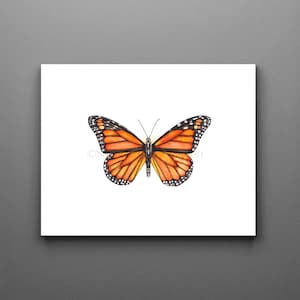 Monarca, impresión de monarca, arte de monarca, impresión de mariposa, pintura de mariposa, monarca, mariposa de acuarela, arte infantil, impresión artística, acuarela