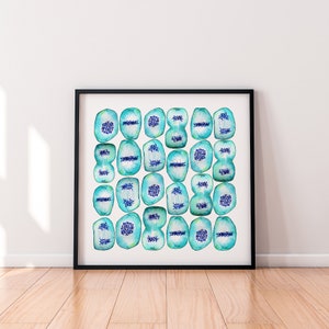 Mitosis, watercolor print, science, mitosis, biology art, science print, science art, watercolors, biology, geekery, sciart, cell biology image 3