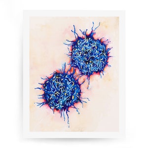 T cells, science art, science print, medical, watercolor art, watercolor print, medical print, medical art, immunology, biology art, sciart