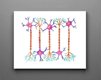 Neurona 6, Neuronas, Ciencia, arte científico, neurología, biología, arte biológico, impresión científica, arte neuronal, impresión biológica, arte médico, sciart