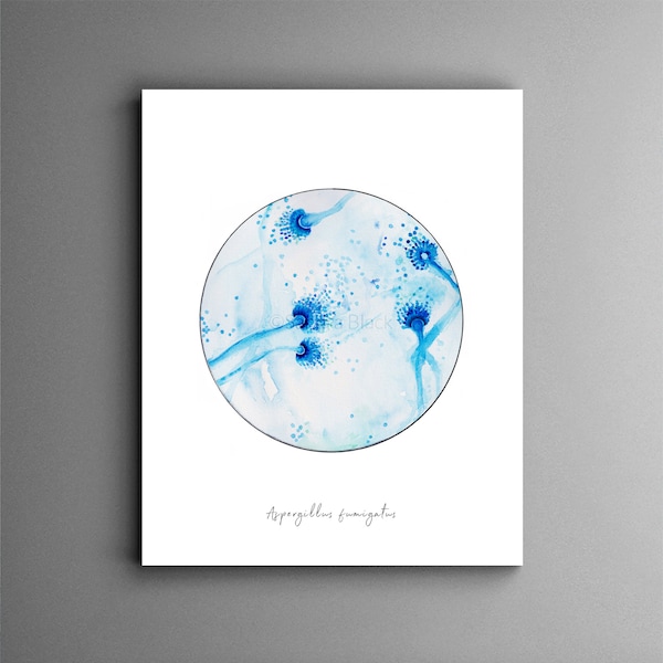 Aspergillus fumigatus, microbiology print, science print, science art, fungi, mycology, mycology print, science print, laboratory gift