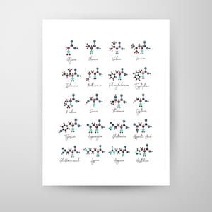 Amino Acids, Chemistry art, science, science art, science print, biology art, watercolor print, science print, molecule, biology print image 2