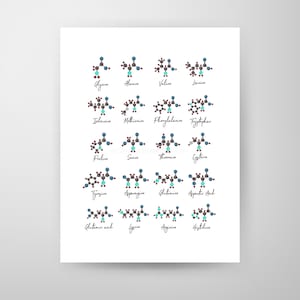 Aminozuren, chemiekunst, wetenschap, wetenschapskunst, wetenschapsprint, biologiekunst, aquarelprint, wetenschapsprint, molecuul, biologieprint afbeelding 2