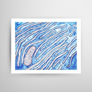 Endoplasmic Reticulum in Blue, Art Print, Science Art, science print, cell biology, biology art, biology gift, science, biology print, cell