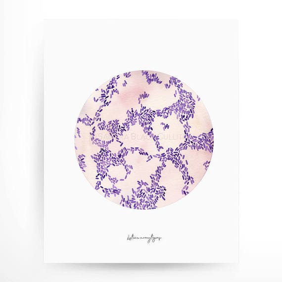 Listeria Monocytogenes, Bacteria, Bacteria Art, Watercolor
