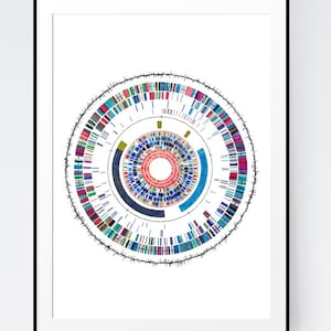 Genoom 9, DNA, wetenschap, wetenschappelijke kunst, dna-kunst, biologiekunst, medische kunst, illustratie, genetica, hedendaagse kunst, aquarelprint,