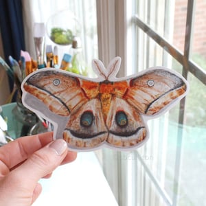 Moth Laptop Sticker, Butterfly laptop sticker, Bumper sticker, moth vinyl sticker, moth sticker, moth vinyl sticker, moth