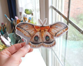 Moth Laptop Sticker, Butterfly laptop sticker, Bumper sticker, moth vinyl sticker, moth sticker, moth vinyl sticker, moth