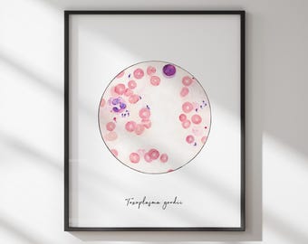 Toxoplasma gondii, microbiology, microbiology art, microbes, science art, sciart, parasite, protozoa, science decor, gift ideas, diseases