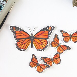 Butterfly Sticker, Monarch sticker, monarch, butterfly, vinyl stickers, laptop sticker, bumper sticker, sticker pack, waterproof sticker image 2