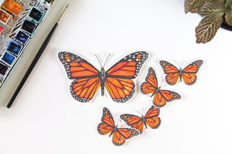 Butterfly Sticker, Monarch sticker, monarch, butterfly, vinyl stickers, laptop sticker, bumper sticker, sticker pack, waterproof sticker image 2