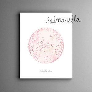 Salmonella enterica, print, microbiology, food poisoning, biology, microbe, microbiology art, bacteria art, medical art, science art,