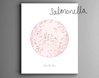 Salmonella enterica, print, microbiology, food poisoning, biology, microbe, microbiology art, bacteria art, medical art, science art,