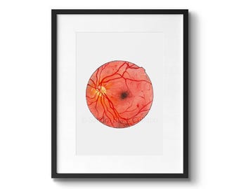 Retina, watercolor print, science art, anatomy, medical print, medical art, medical illustration, science print, ophthalmology, watercolor
