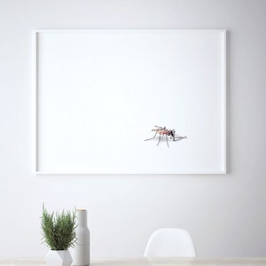 May include: A white framed picture with a black and white illustration of a mosquito on a white background.
