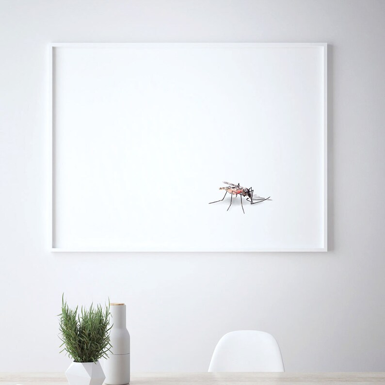 May include: A white framed picture with a black and white illustration of a mosquito on a white background.