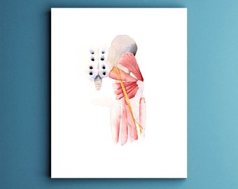 Sciatic nerve, anatomy, anatomy print, anatomical art, neurology, science, science art, medical art, nursing, art print